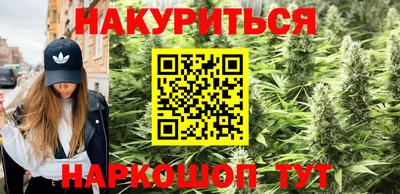 гидра Донецк