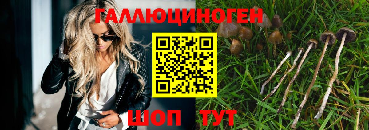 Псилоцибиновые грибы Psilocybe Мытищи