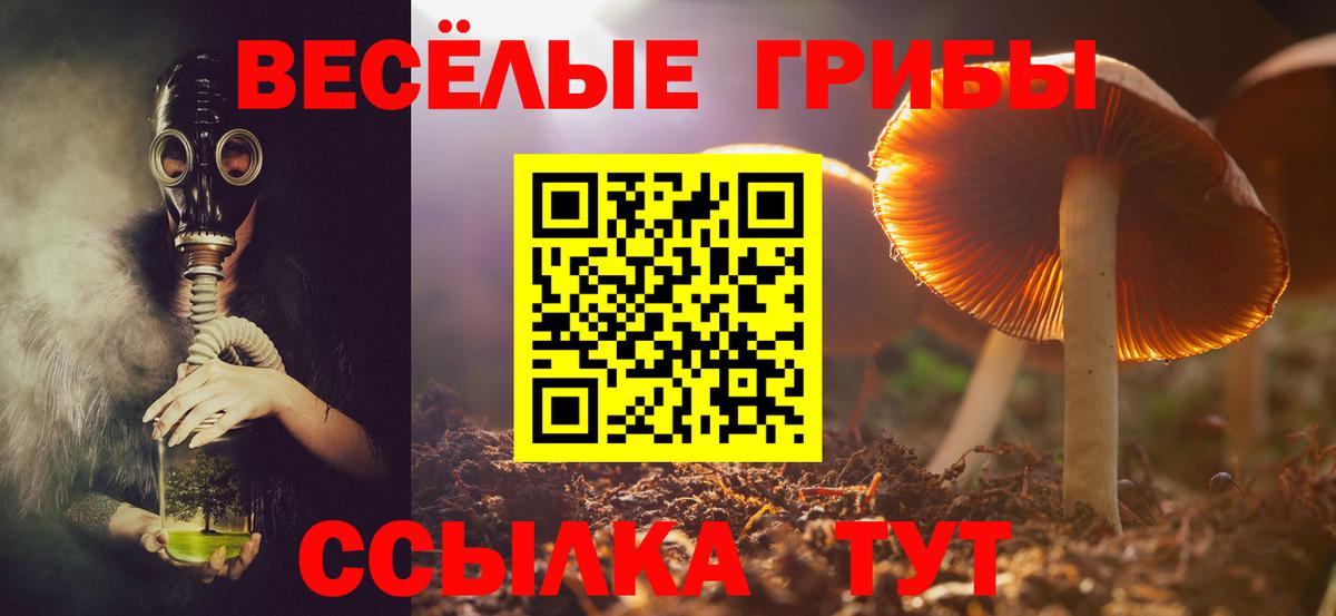 Галлюциногенные грибы мухоморы  Вход с VPN  Мытищи 